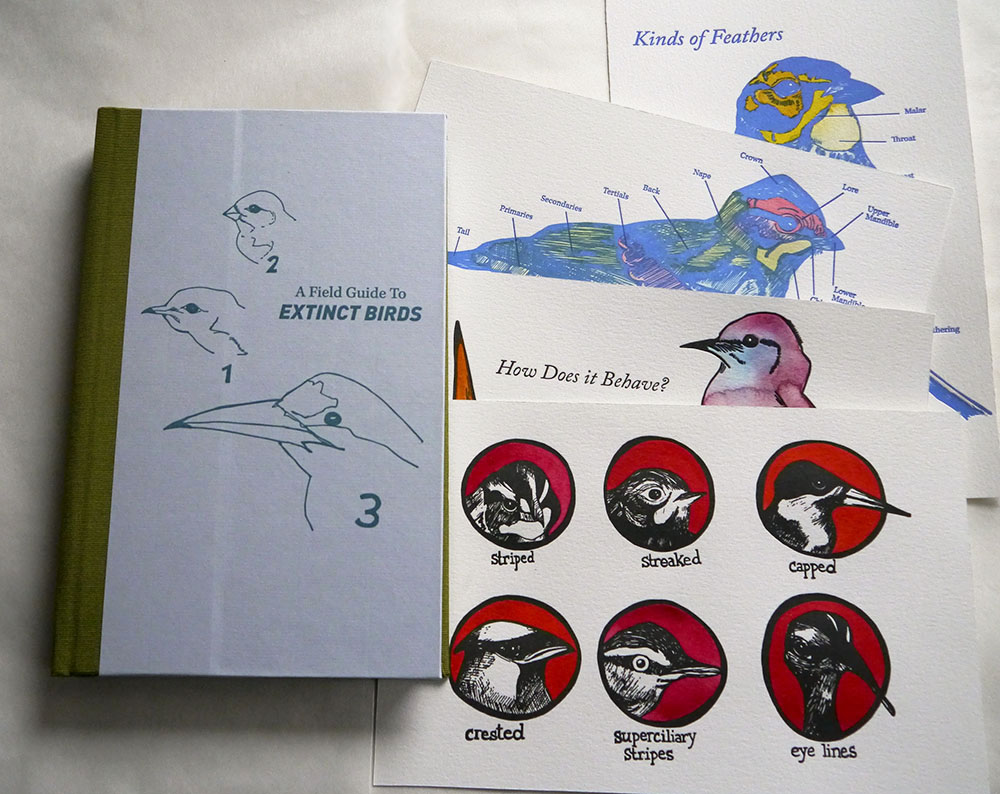 A Field Guide to Extinct Birds