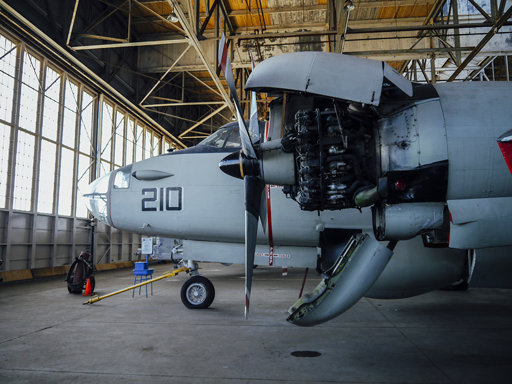 Floyd Bennett Field and Dead Horse Bay