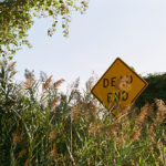 Staten Island Shore Walk